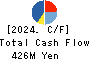 SUKEGAWA ELECTRIC CO.,LTD. Cash Flow Statement 2024年9月期