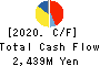 Nippon Pigment Company Limited Cash Flow Statement 2020年3月期