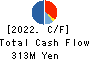 NISSEN INC. Cash Flow Statement 2022年Feb期 NISSEN INC. Cash Flow Statement 2022年2月期