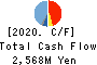 Kawasumi Laboratories, Incorporated Cash Flow Statement 2020年3月期