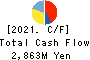 TOYO WHARF & WAREHOUSE CO.,LTD. Cash Flow Statement 2021年3月期