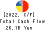 AIN HOLDINGS INC. Cash Flow Statement 2022年4月期