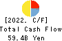 TOYODA GOSEI CO.,LTD. Cash Flow Statement 2022年3月期
