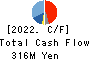 DAIWA COMPUTER CO.,LTD. Cash Flow Statement 2022年7月期