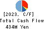 Terilogy Holdings Corporation Cash Flow Statement 2023年3月期