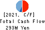 WDB coco CO.,LTD. Cash Flow Statement 2021年Mar期 WDB coco CO.,LTD. Cash Flow Statement 2021年3月期
