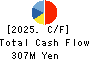 ADJUVANT HOLDINGS CO.,LTD. Cash Flow Statement 2025年Mar期 ADJUVANT HOLDINGS CO.,LTD. Cash Flow Statement 2025年3月期