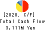 Nippon Seisen Co.,Ltd. Cash Flow Statement 2020年3月期