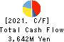KOIKE SANSO KOGYO CO.,LTD. Cash Flow Statement 2021年3月期