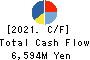 Mitsubishi Research Institute,Inc. Cash Flow Statement 2021年9月期