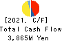LOGINET JAPAN CO.,LTD. Cash Flow Statement 2021年3月期