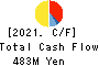 Kyogoku unyu shoji Co.,Ltd. Cash Flow Statement 2021年3月期