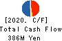 Kawasaki & Co.,Ltd. Cash Flow Statement 2020年8月期