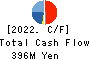 SK JAPAN CO.,LTD. Cash Flow Statement 2022年2月期