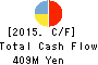 JPN Holdings Company, Limited Cash Flow Statement 2015年1月期
