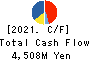 SAKURA internet Inc. Cash Flow Statement 2021年Mar期 SAKURA internet Inc. Cash Flow Statement 2021年3月期