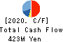 Japaniace Co.,Ltd. Cash Flow Statement 2020年11月期