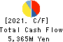 ISHIZUKA GLASS CO.,LTD. Cash Flow Statement 2021年Mar期 ISHIZUKA GLASS CO.,LTD. Cash Flow Statement 2021年3月期