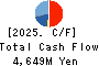 TECHNO RYOWA LTD. Cash Flow Statement 2025年Mar期 TECHNO RYOWA LTD. Cash Flow Statement 2025年3月期