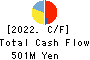 HYUGA PRIMARY CARE Co.,Ltd. Cash Flow Statement 2022年Mar期 HYUGA PRIMARY CARE Co.,Ltd. Cash Flow Statement 2022年3月期