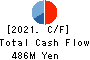 Interworks Confidence Inc. Cash Flow Statement 2021年Mar期 Interworks Confidence Inc. Cash Flow Statement 2021年3月期