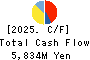 TOMOE CORPORATION Cash Flow Statement 2025年Mar期 TOMOE CORPORATION Cash Flow Statement 2025年3月期