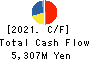 Nippon Denko Co.,Ltd. Cash Flow Statement 2021年12月期