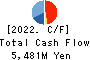 TECHMATRIX CORPORATION Cash Flow Statement 2022年Mar期 TECHMATRIX CORPORATION Cash Flow Statement 2022年3月期