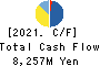 MATSUYA FOODS HOLDINGS CO., LTD. Cash Flow Statement 2021年Mar期 MATSUYA FOODS HOLDINGS CO., LTD. Cash Flow Statement 2021年3月期