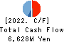 TSUBAKIMOTO KOGYO CO.,LTD. Cash Flow Statement 2022年3月期