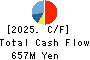 SK JAPAN CO.,LTD. Cash Flow Statement 2025年2月期