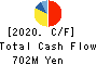 Zenken Corporation Cash Flow Statement 2020年6月期