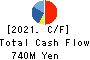 DM Solutions Co.,Ltd Cash Flow Statement 2021年Mar期 DM Solutions Co.,Ltd Cash Flow Statement 2021年3月期