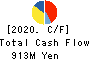 Nozaki Insatsu Shigyo Co.,Ltd. Cash Flow Statement 2020年3月期