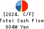 Ad-Sol Nissin Corporation Cash Flow Statement 2024年3月期