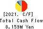 AICHI ELECTRIC CO.,LTD. Cash Flow Statement 2021年Mar期 AICHI ELECTRIC CO.,LTD. Cash Flow Statement 2021年3月期