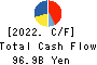 Dai Nippon Printing Co.,Ltd. Cash Flow Statement 2022年3月期