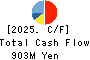 Delsole Corporation Cash Flow Statement 2025年Mar期 Delsole Corporation Cash Flow Statement 2025年3月期