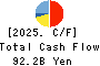 Iida Group Holdings Co., Ltd. Cash Flow Statement 2025年Mar期 Iida Group Holdings Co., Ltd. Cash Flow Statement 2025年3月期