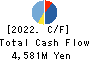 Net Protections Holdings,Inc. Cash Flow Statement 2022年Mar期 Net Protections Holdings,Inc. Cash Flow Statement 2022年3月期