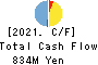 KYODO PAPER HOLDINGS Cash Flow Statement 2021年3月期