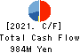 TOHO SYSTEM SCIENCE CO.,LTD. Cash Flow Statement 2021年Mar期 TOHO SYSTEM SCIENCE CO.,LTD. Cash Flow Statement 2021年3月期