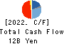 Shinko Shoji Co.,Ltd. Cash Flow Statement 2022年3月期