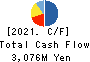 AMBITION DX HOLDINGS Co., Ltd. Cash Flow Statement 2021年Jun期 AMBITION DX HOLDINGS Co., Ltd. Cash Flow Statement 2021年6月期