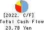 FUJITSU GENERAL LIMITED Cash Flow Statement 2022年3月期