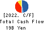 DAIKI ALUMINIUM INDUSTRY CO.,LTD. Cash Flow Statement 2022年Mar期 DAIKI ALUMINIUM INDUSTRY CO.,LTD. Cash Flow Statement 2022年3月期