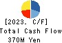 Amatei Incorporated Cash Flow Statement 2023年3月期