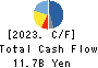RORZE CORPORATION Cash Flow Statement 2023年Feb期 RORZE CORPORATION Cash Flow Statement 2023年2月期