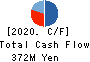SHINTO Holdings,Inc. Cash Flow Statement 2020年1月期