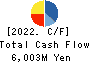 SANIX INCORPORATED Cash Flow Statement 2022年3月期
